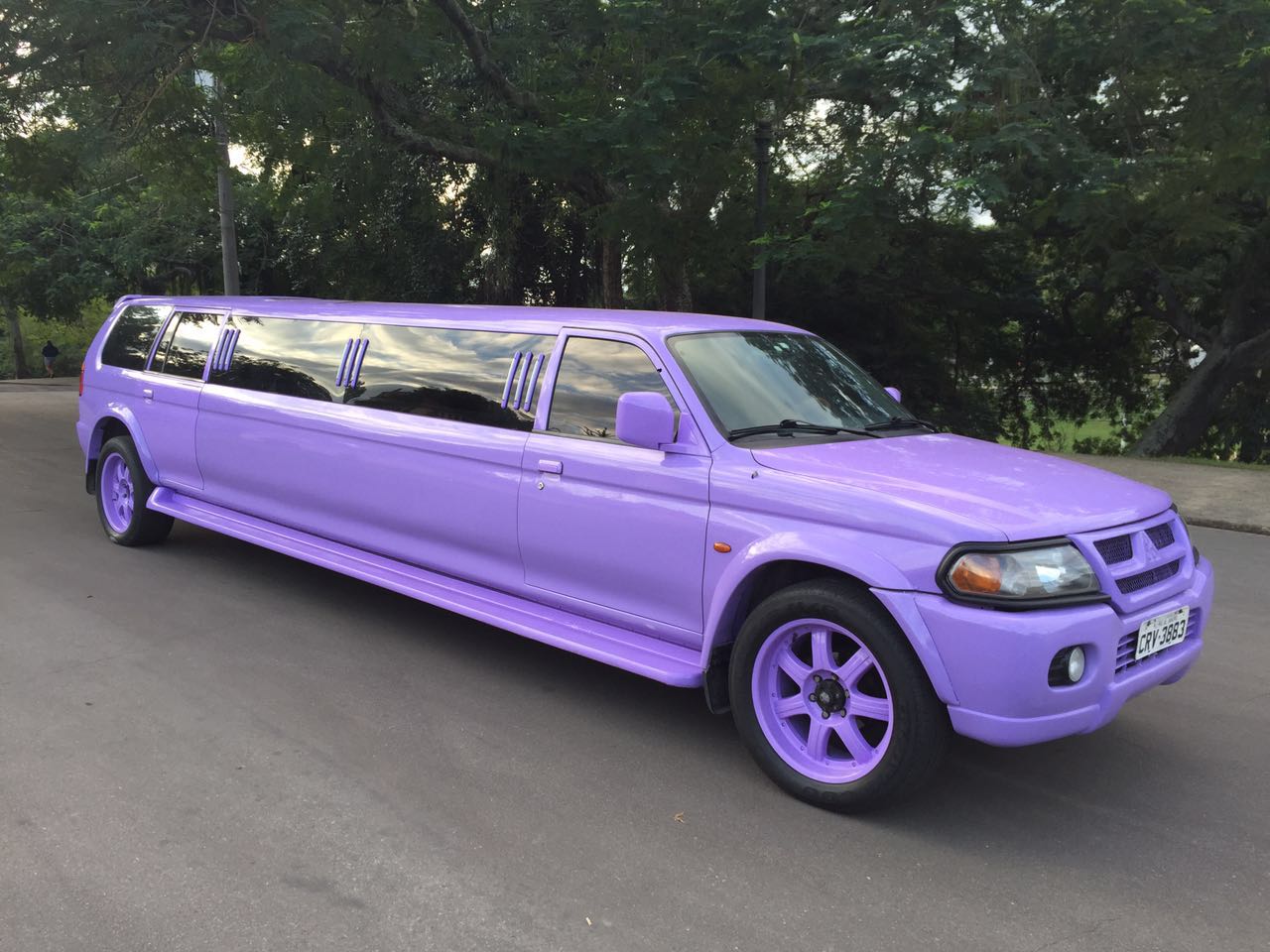 limo-fantasy16