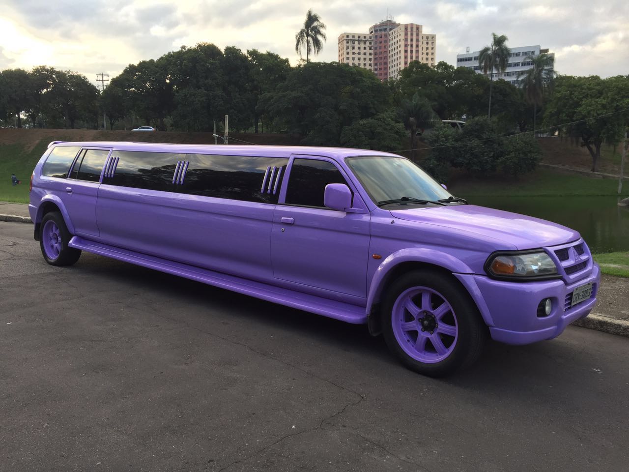 limo-fantasy22