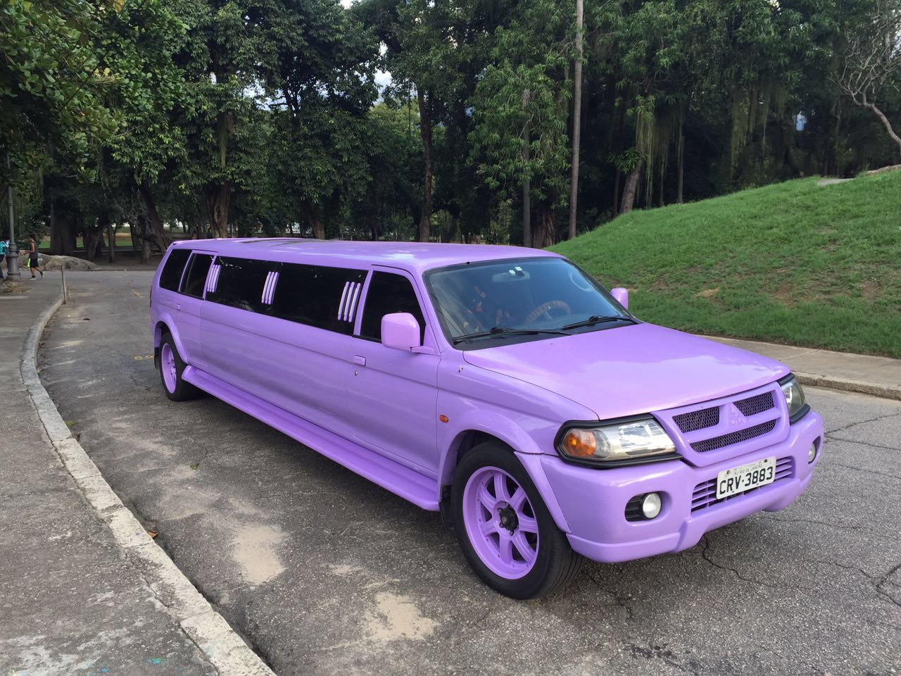 limo-fantasy6