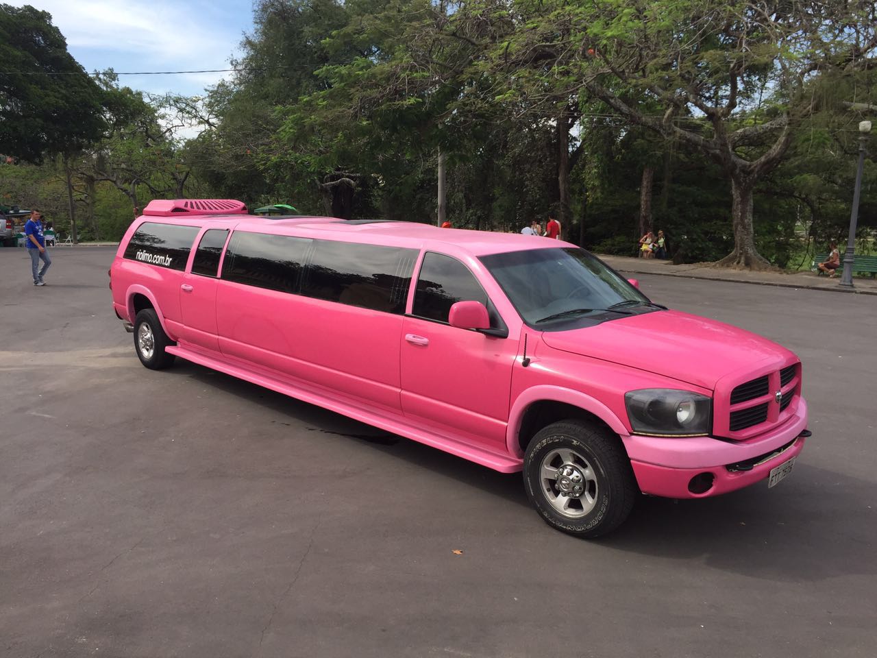 limo-pink6